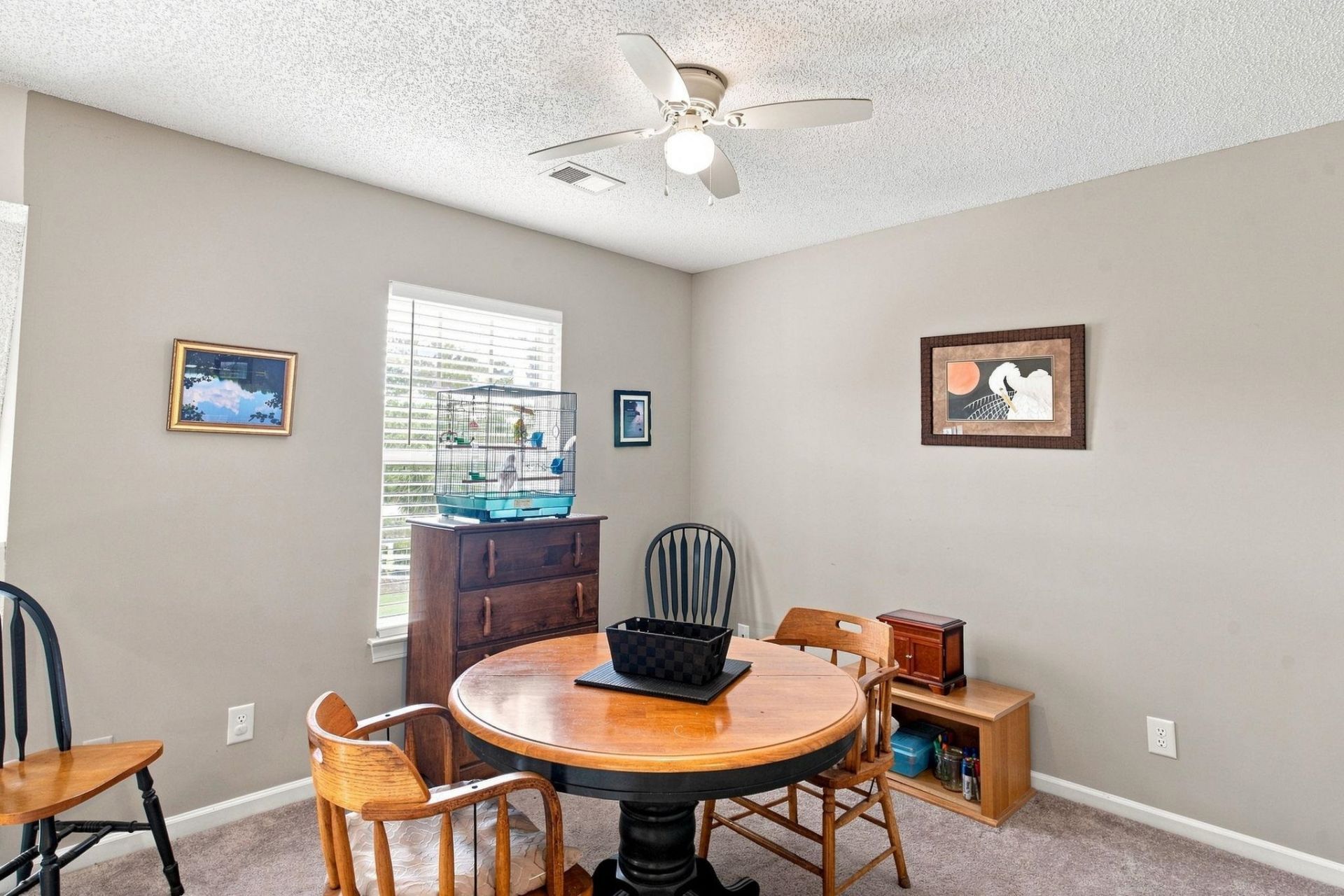 1061 Williston Loop  Photo 17