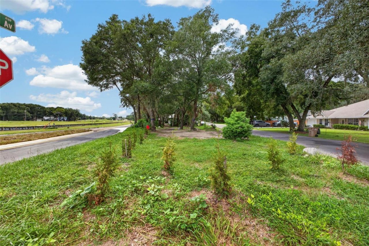 25717 Troon Avenue , Sorrento, FL 32776 Photo