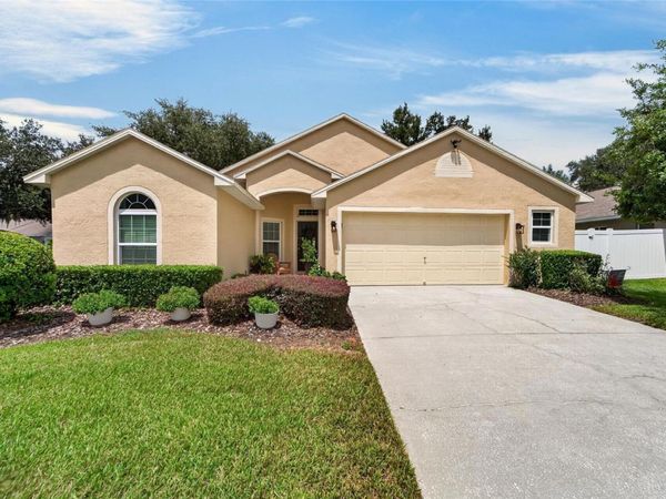 3132 BEAVER POND TRAIL, VALRICO, FL 33596