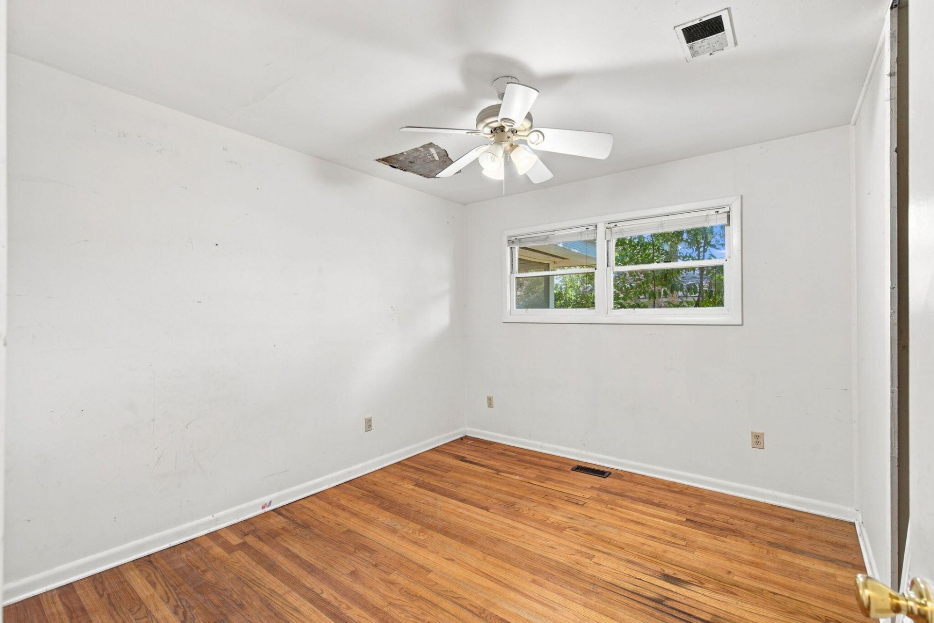 8 William Street Photo 17
