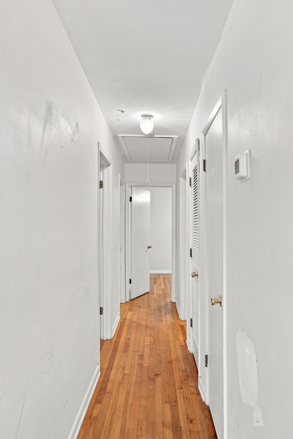 8 William Street Photo 18