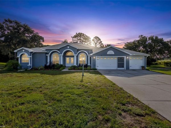 11382 DOXSEY HILL CIRCLE , SPRING HILL, FL 34609