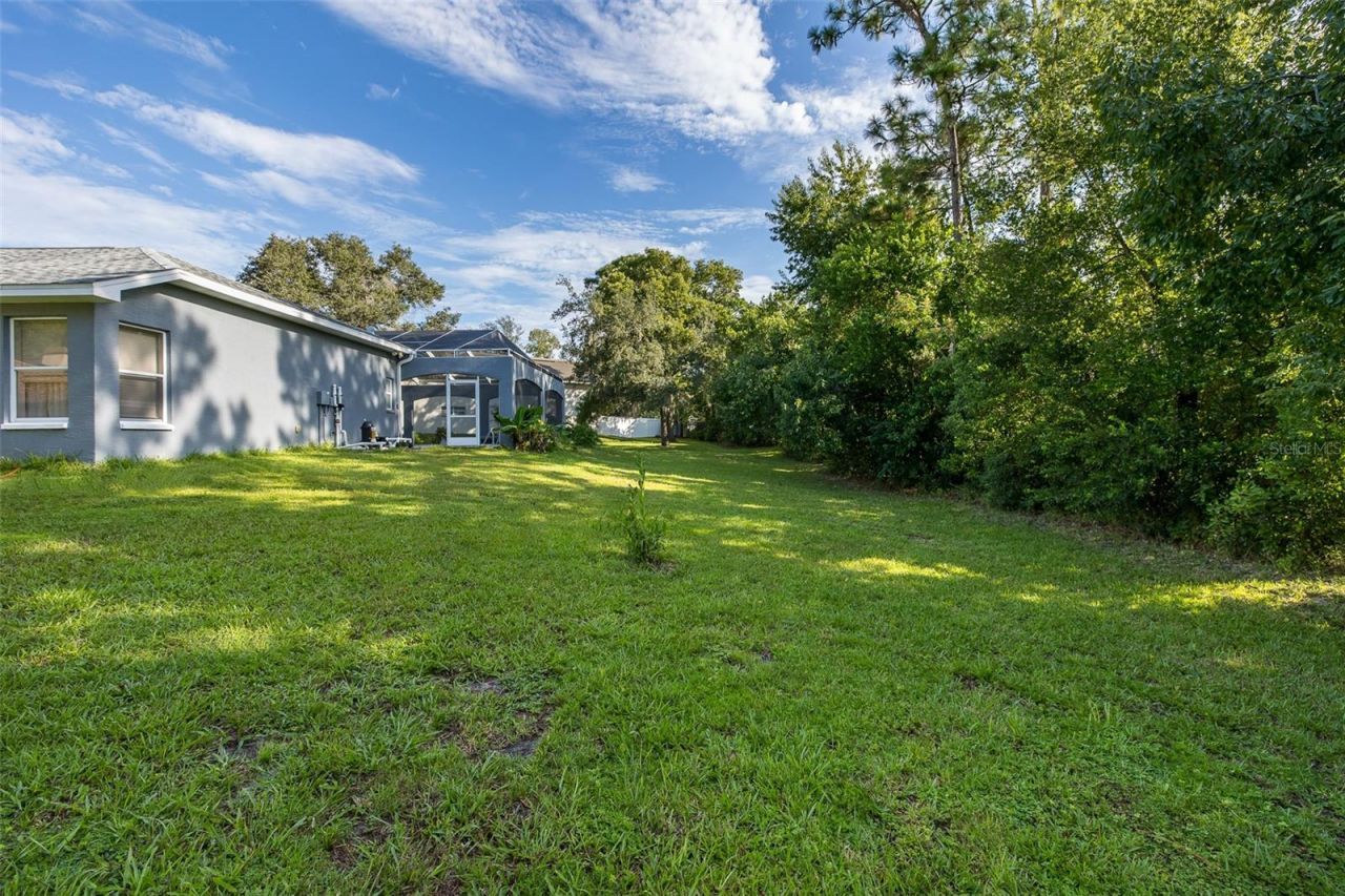 11382 Doxsey Hill Circle, Spring Hill, FL 34609 Photo