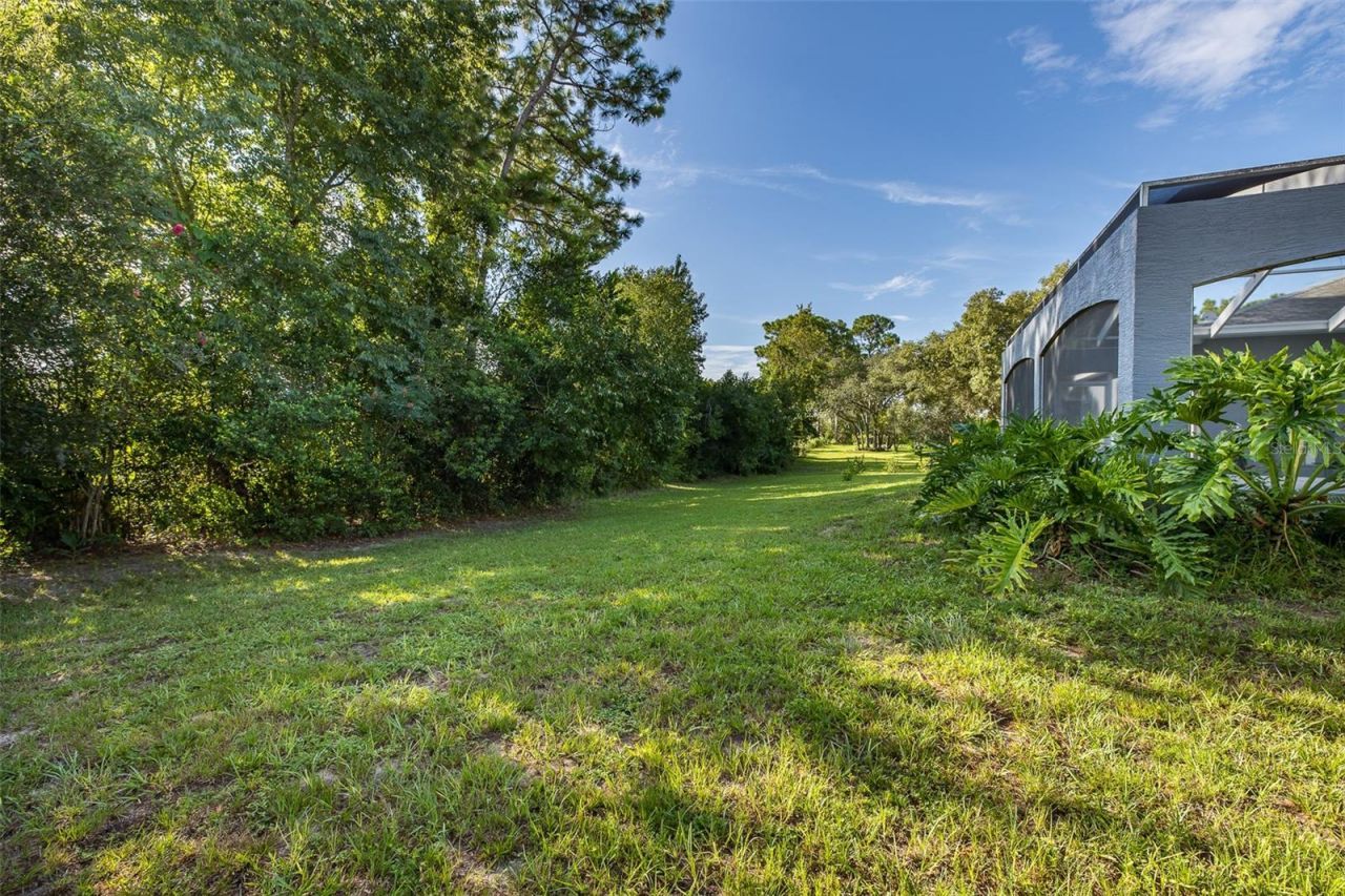 11382 Doxsey Hill Circle, Spring Hill, FL 34609 Photo