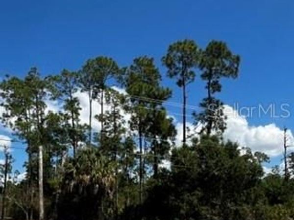 4105 E 10TH STREET , LEHIGH ACRES, FL 33972