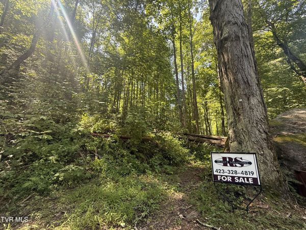 Tbd Dennis Cove Rd Road, Hampton, TN 37658