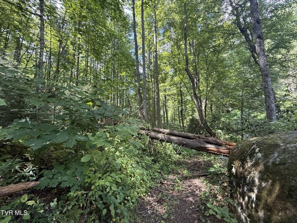 Tbd Dennis Cove Rd Road, Hampton, TN 37658