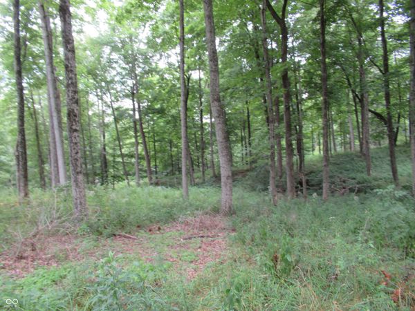 9550 West S, Manilla, IN 46150