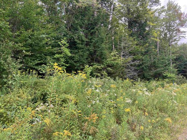 925 Porcupine Lane, Unit M-925, Wilmington, VT 05363