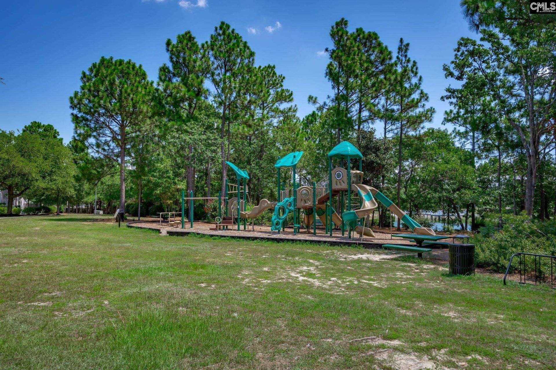110 Spring Frost Drive Photo 71