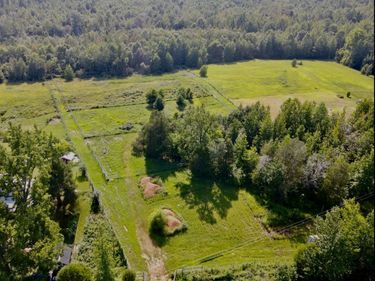 1785 Billie Branch Road, New Concord, KY 42076