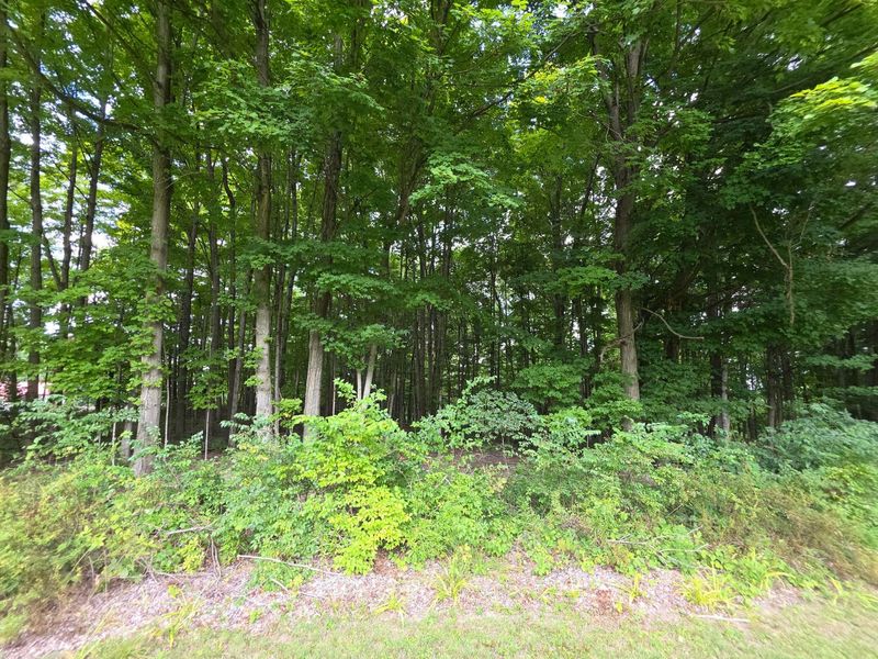 4955 State Route 61, Mount Gilead, OH 43338 Photo 20