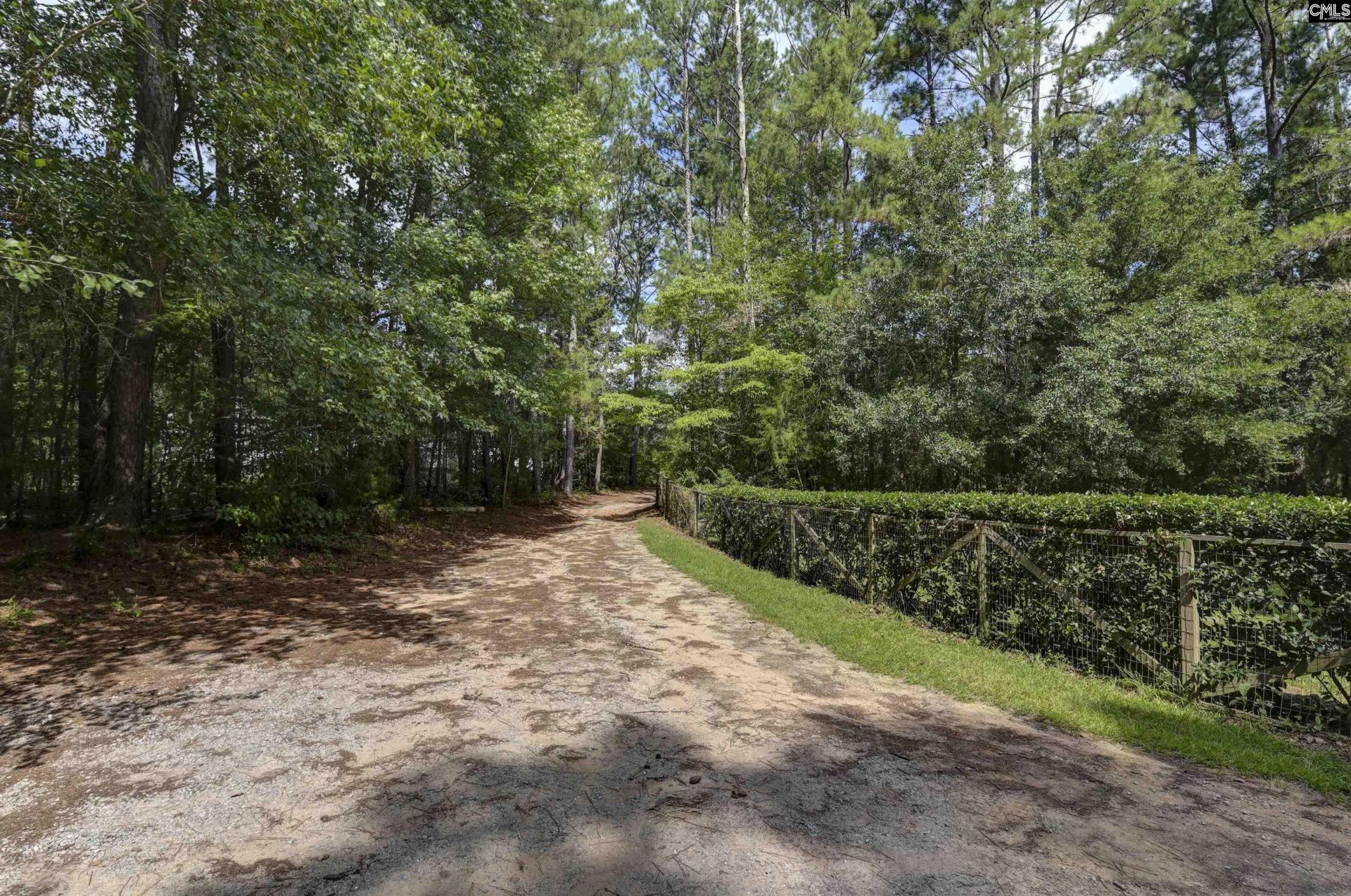 2051 Derrick Hollow Road Photo 6