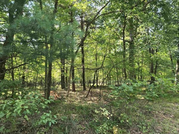 Lot 6 Aspen Drive, Hancock, WI 53934