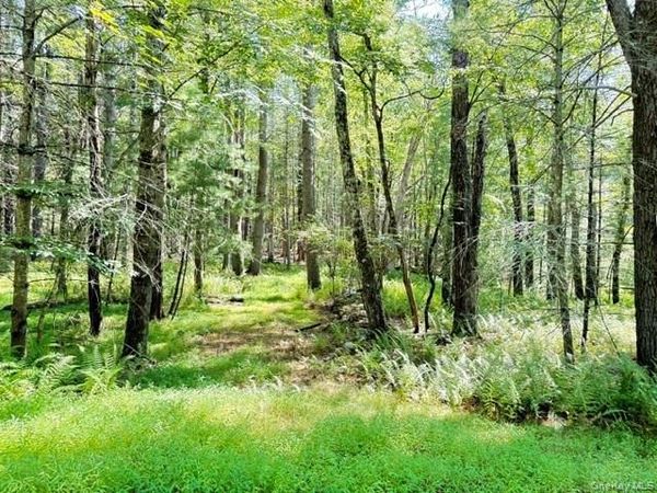 Lot 3.18 Fish Cabin Road , Glen Spey, NY 12737