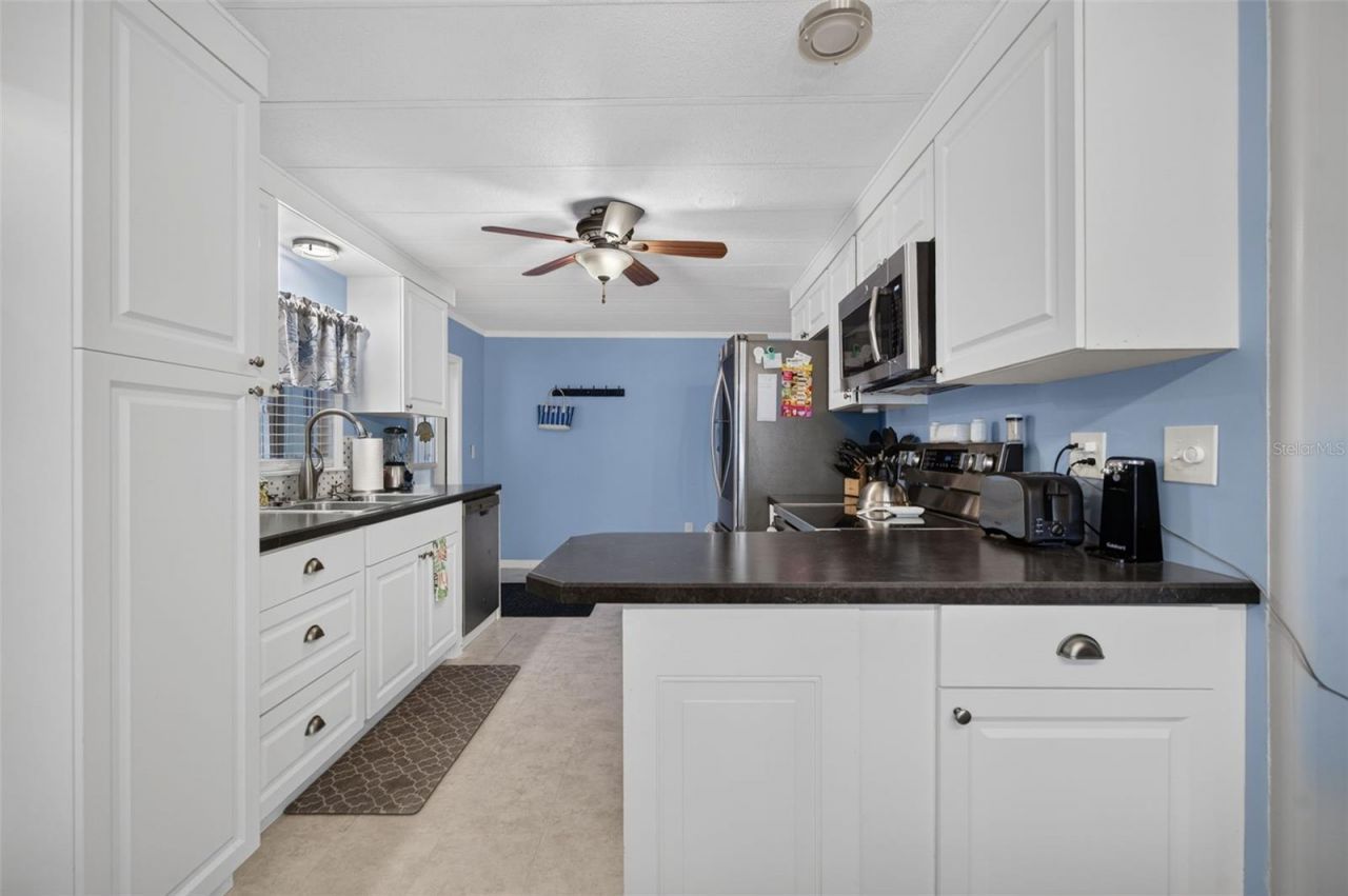 219 Paradise S, Leesburg, FL 34788 Photo