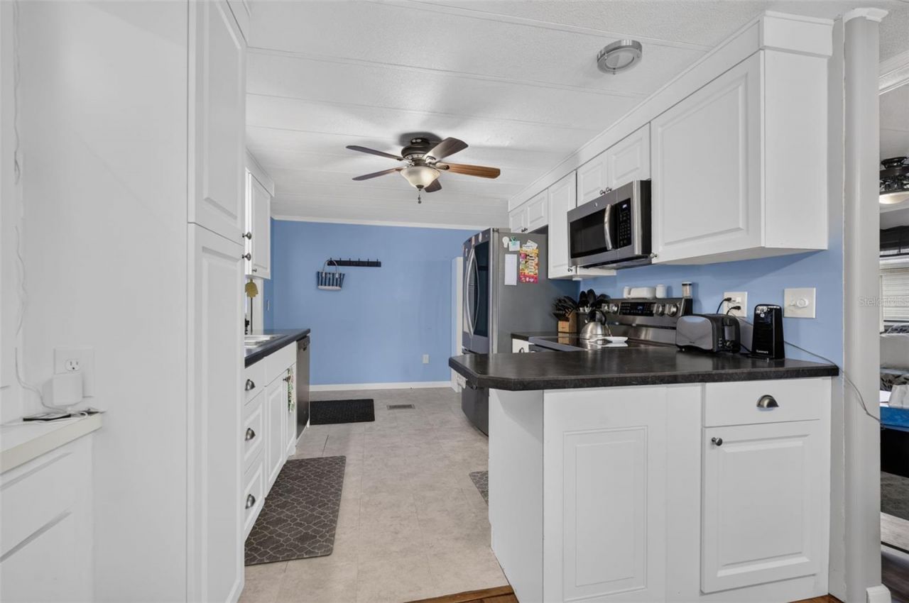 219 Paradise S, Leesburg, FL 34788 Photo