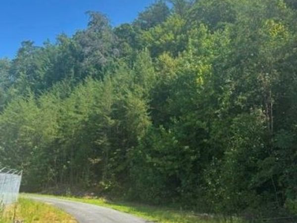 0000 Old Northcutt Road , Ellijay, GA 30540