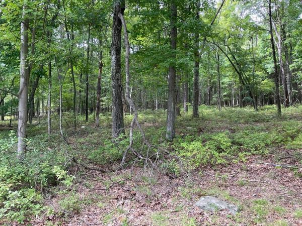 0 Owassa Rd, Stillwater, NJ 07860
