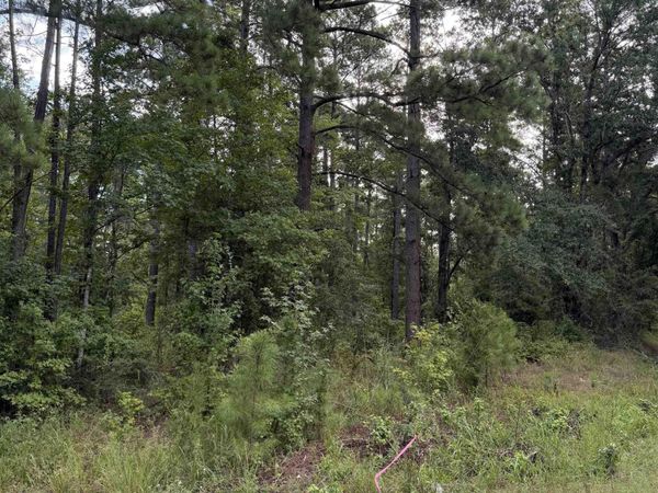 Lot 1 County Rd 8 , Sheridan, AR 72150