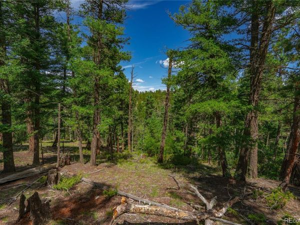 384 Insmont Lane , Florissant, CO 80816