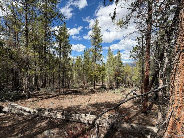 105 Parry Peak Drive, Twin Lakes, CO 81251