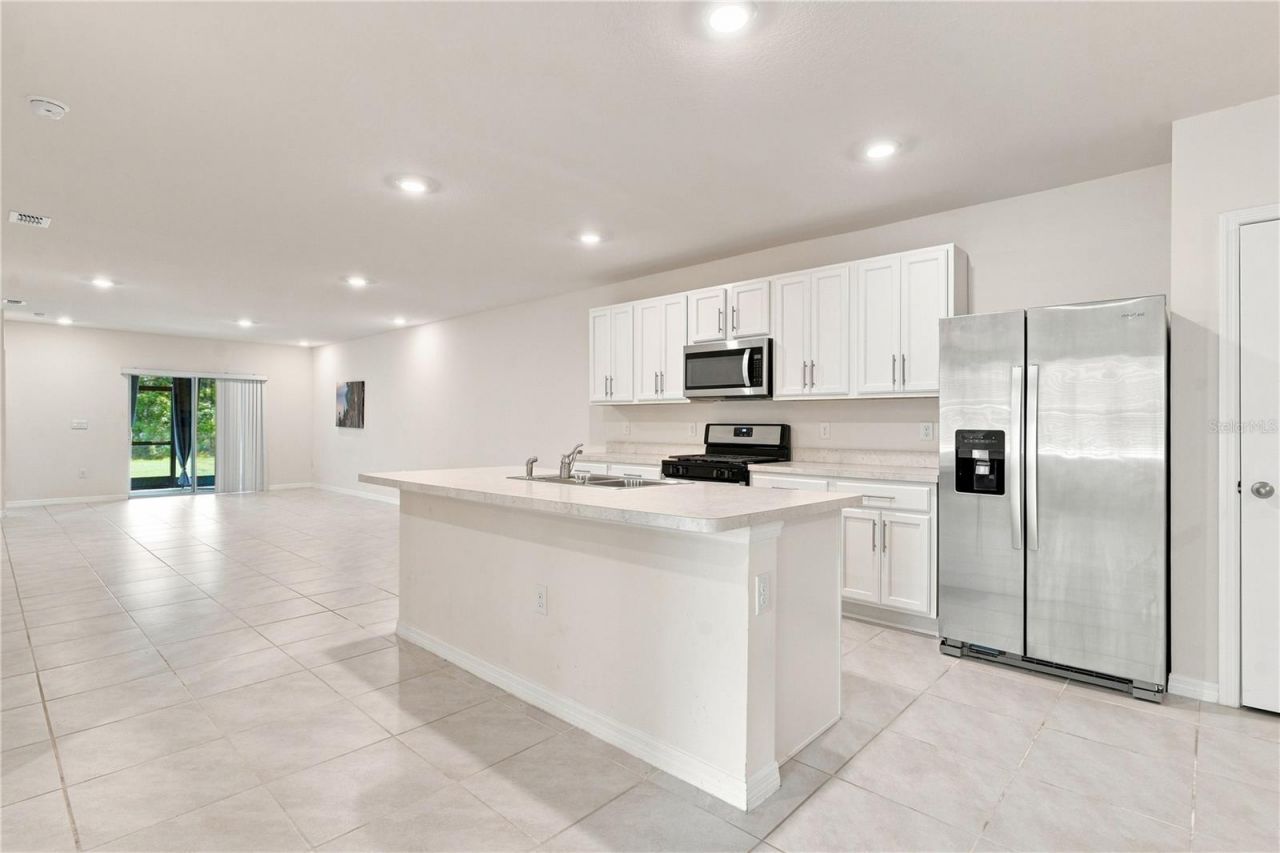 20043 Royal Tern Court, Leesburg, FL 34748 Photo