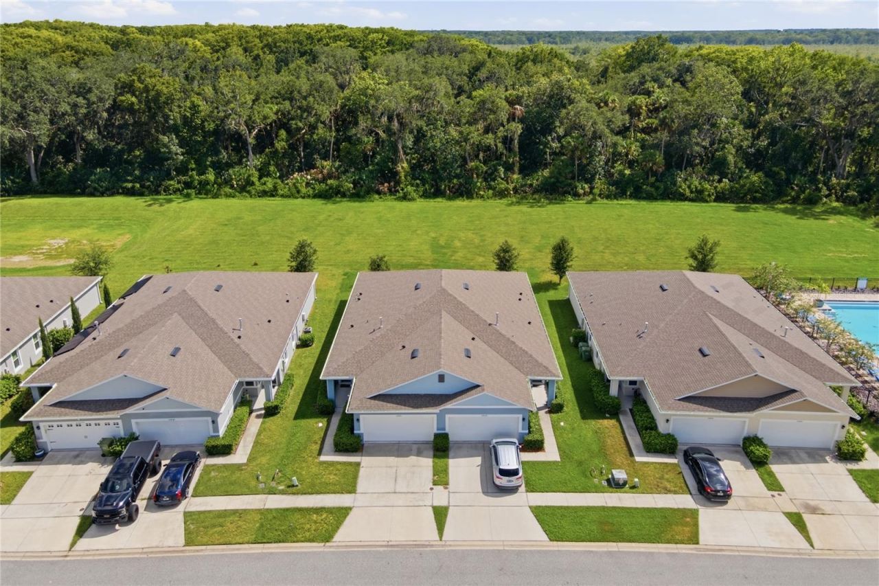 20043 Royal Tern Court, Leesburg, FL 34748 Photo