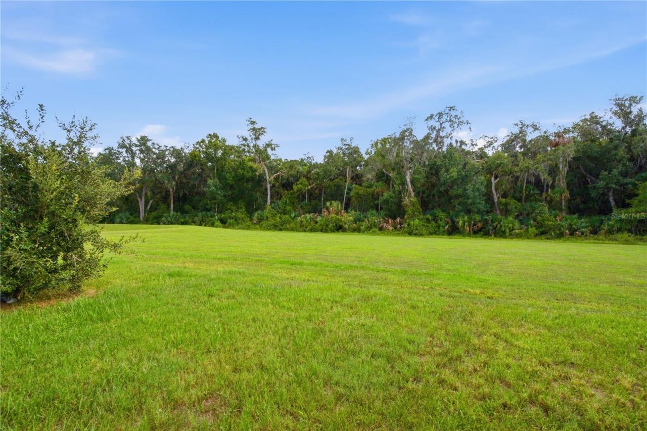 20043 Royal Tern Court, Leesburg, FL 34748 Photo