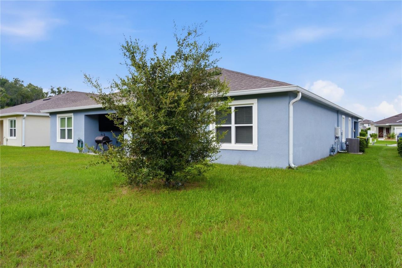 20043 Royal Tern Court, Leesburg, FL 34748 Photo