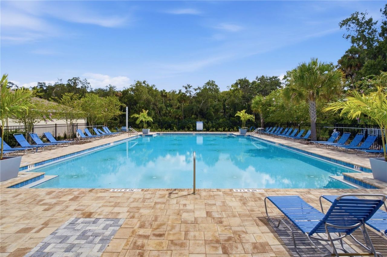 20043 Royal Tern Court, Leesburg, FL 34748 Photo