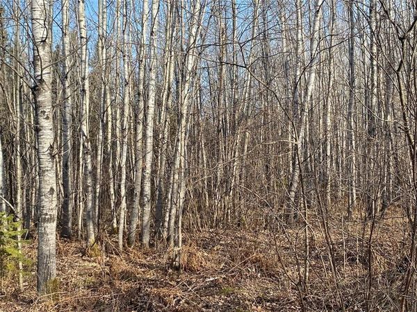 Near Jackson Road, Lake Nebagamon, WI 54849