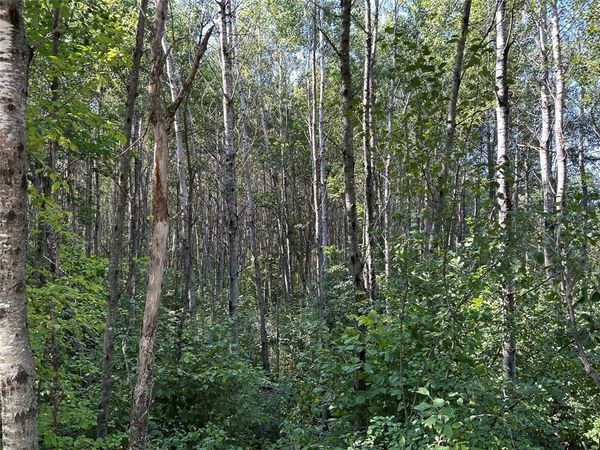Near Town Line Road, Bennett, WI 54873
