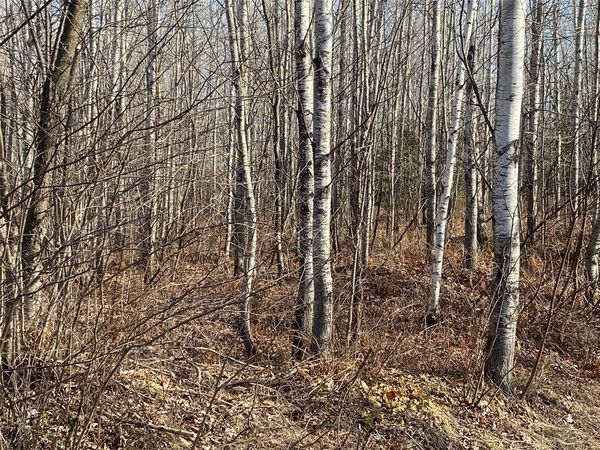Near Bennett Road, Lake Nebagamon, WI 54849