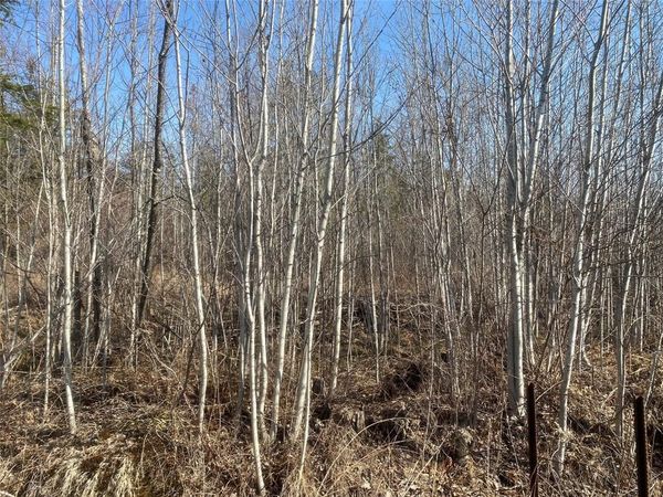 Near Tom Green Road, Solon Springs, WI 54873