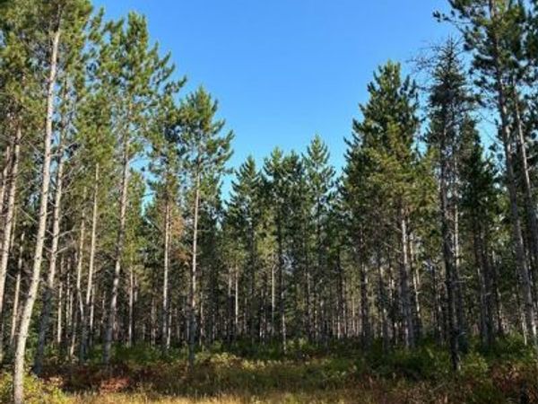 Near East Mail Road, Gordon, WI 54838