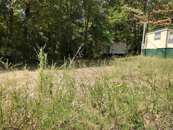 455 Leaser Rd , Fifty-Six, AR 72553