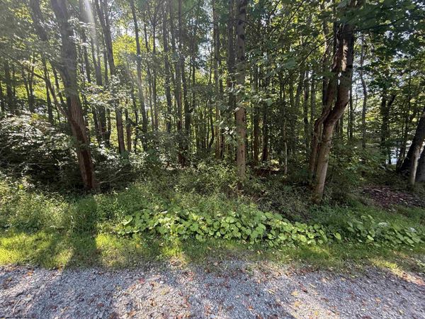 0 TBD Kimberly Lane, Kingwood, WV 26537
