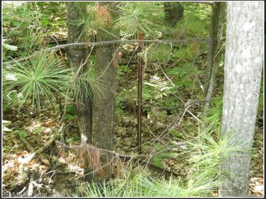 BUNNY RUN VACANT HOUGHTON Bunny Run , Denton Township, Mi 48629