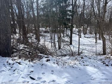 439 Alberta Street Lot 81 , Auburn Hills, Mi 48326