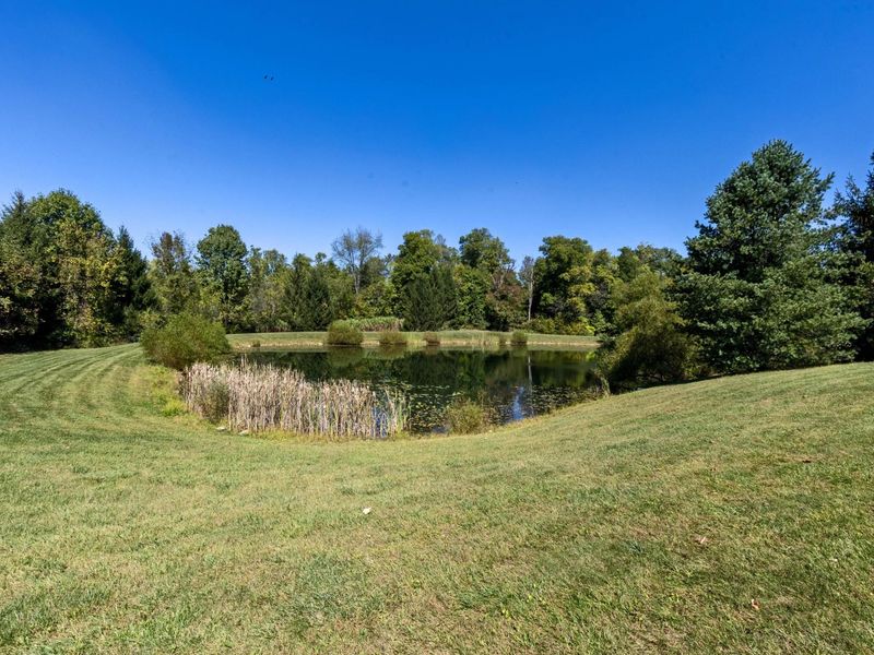 5343 State Route 95, Mount Gilead, OH 43338 Photo 83