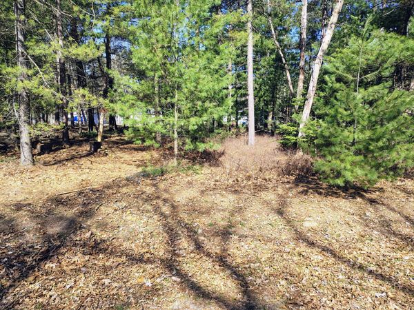 Lot 167 Deer Run Boulevard, Prudenville, MI 48651