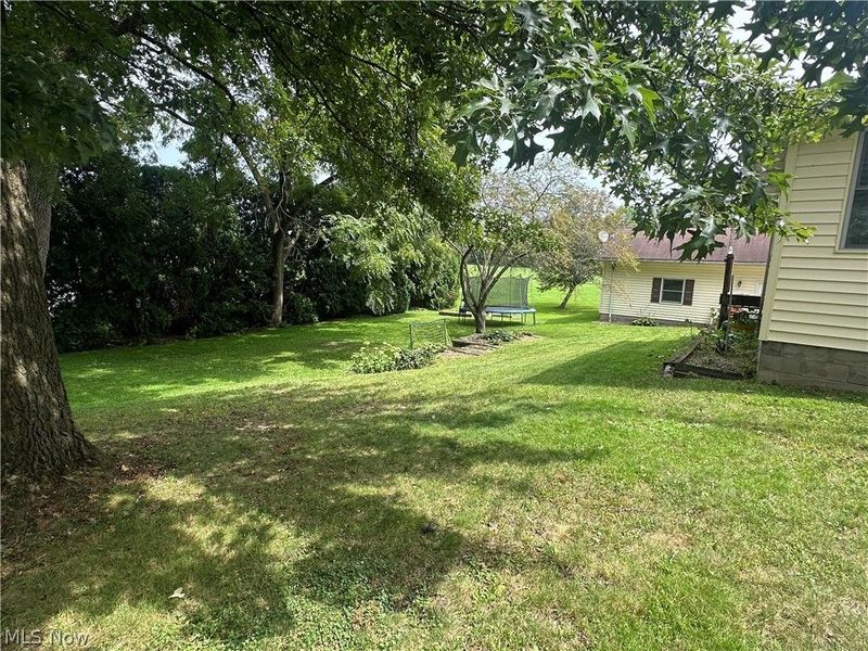 314 E Center Street, Smithville, OH 44677 Photo 32