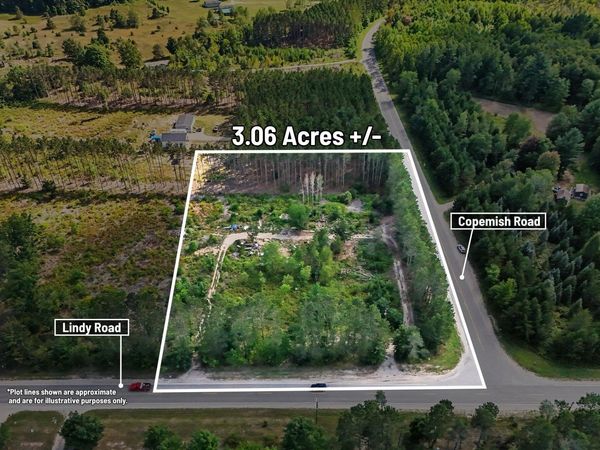 17711 Lindy Road, Thompsonville, MI 49683