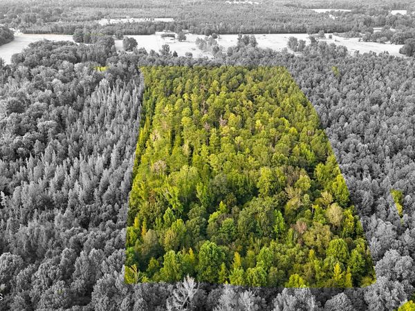 Sylvester Drive, Columbus, MS 39702