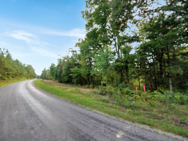 1 Freeman Fielder Rd , Stewart, TN 37175