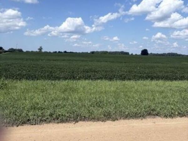 Maple Grove Road, Berrien Center, MI 49102