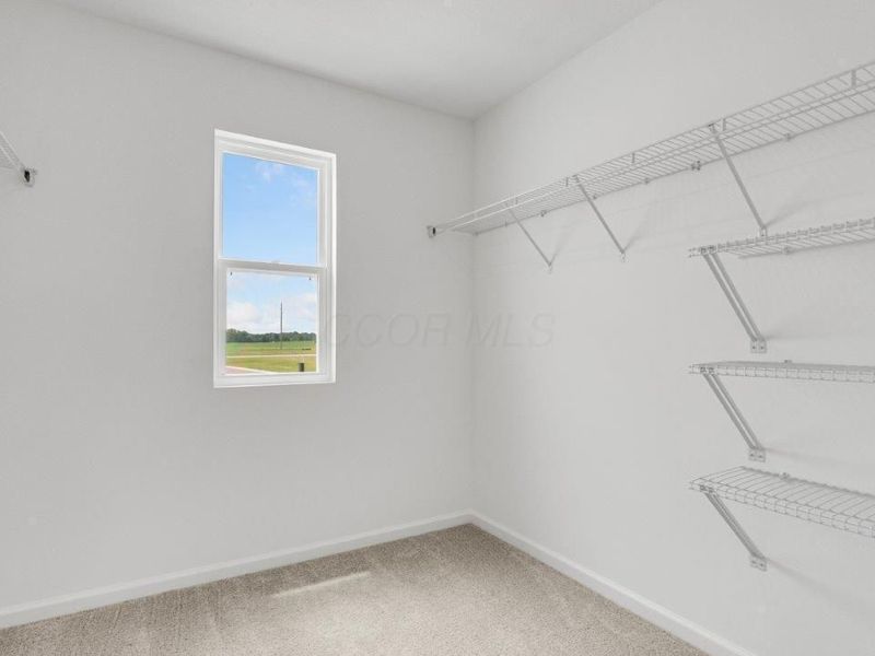 4243 Water Aven Drive , Canal Winchester, OH 43110 Photo 13
