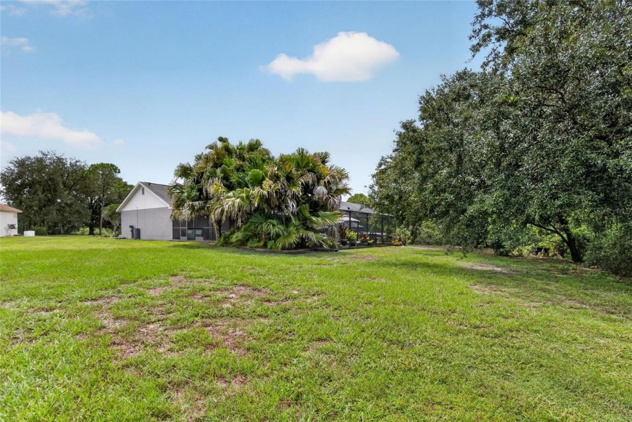 12935 Raysbrook Drive, Riverview, FL 33569 Photo