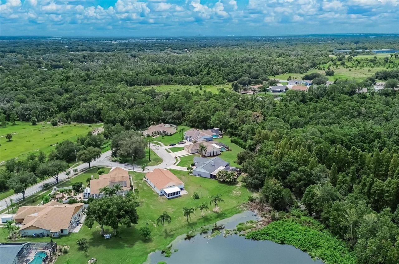 12935 Raysbrook Drive, Riverview, FL 33569 Photo